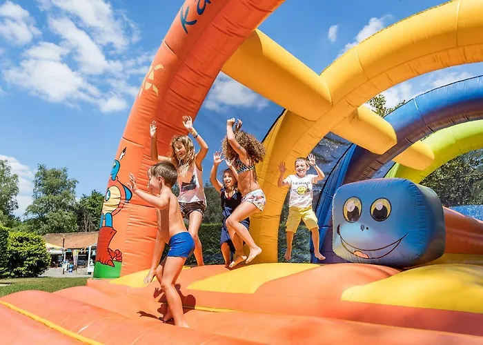Кемпинг Camping Le Bontemps *
